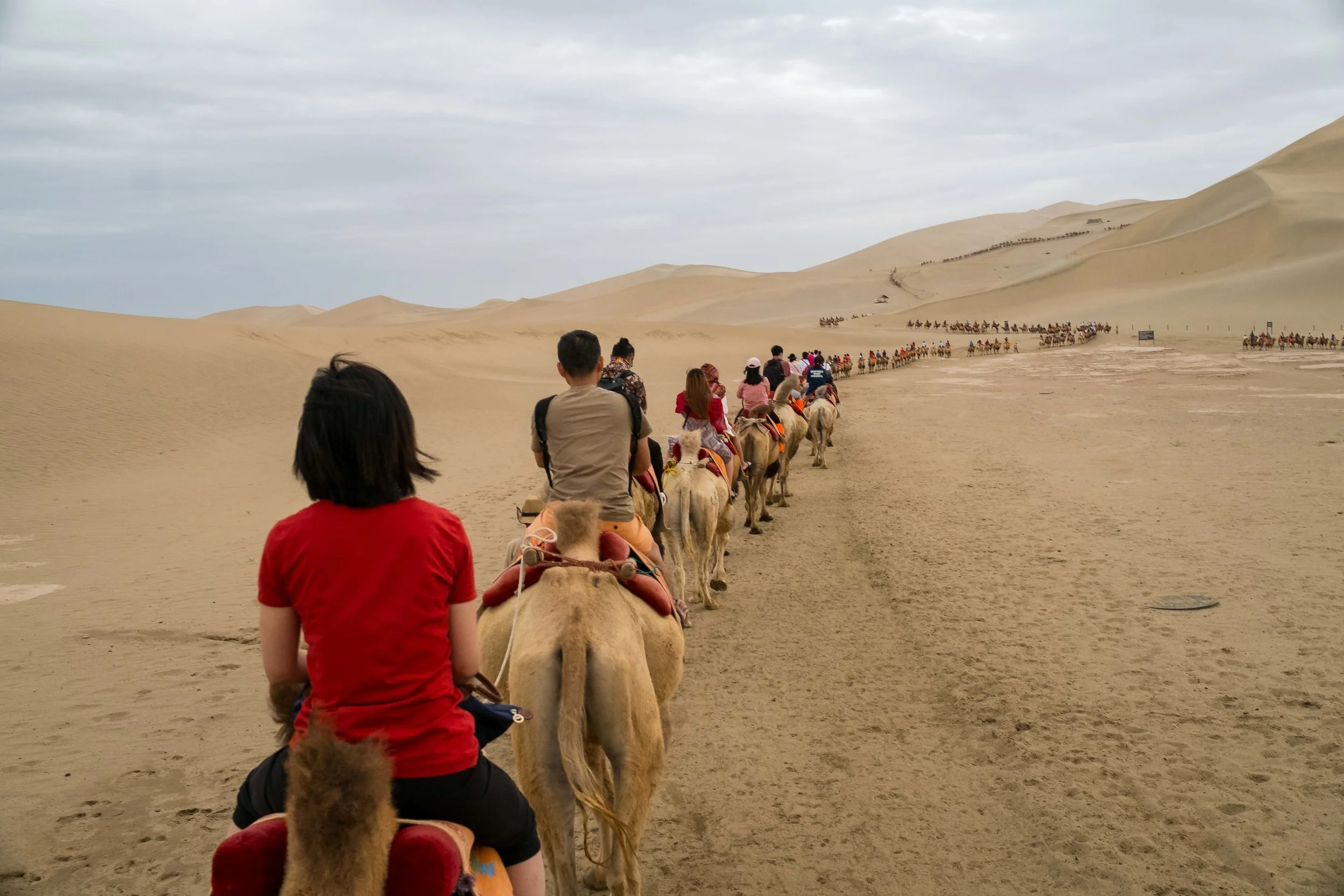Camel ride at Mingsha Sand Dune
