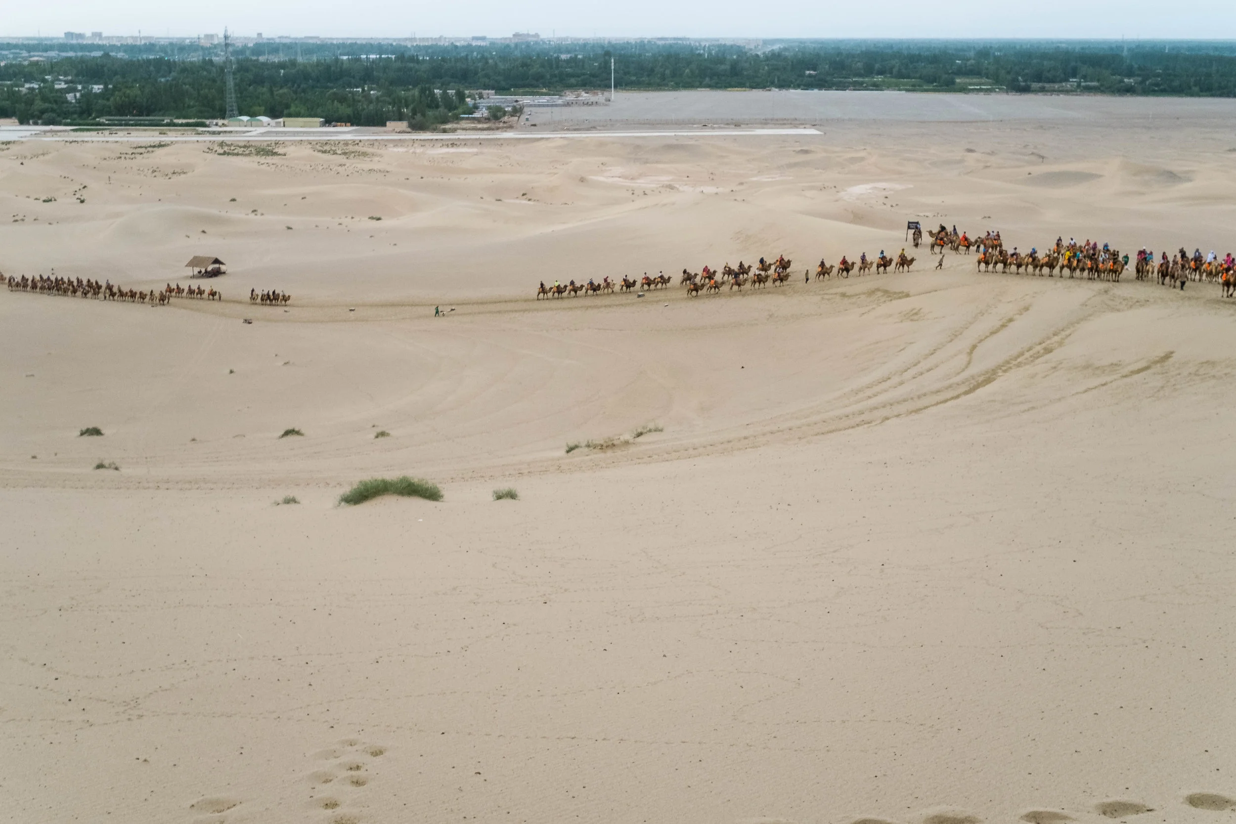 The camel better not fall as that is some drop, well over 300 camels can do the trek at the same time