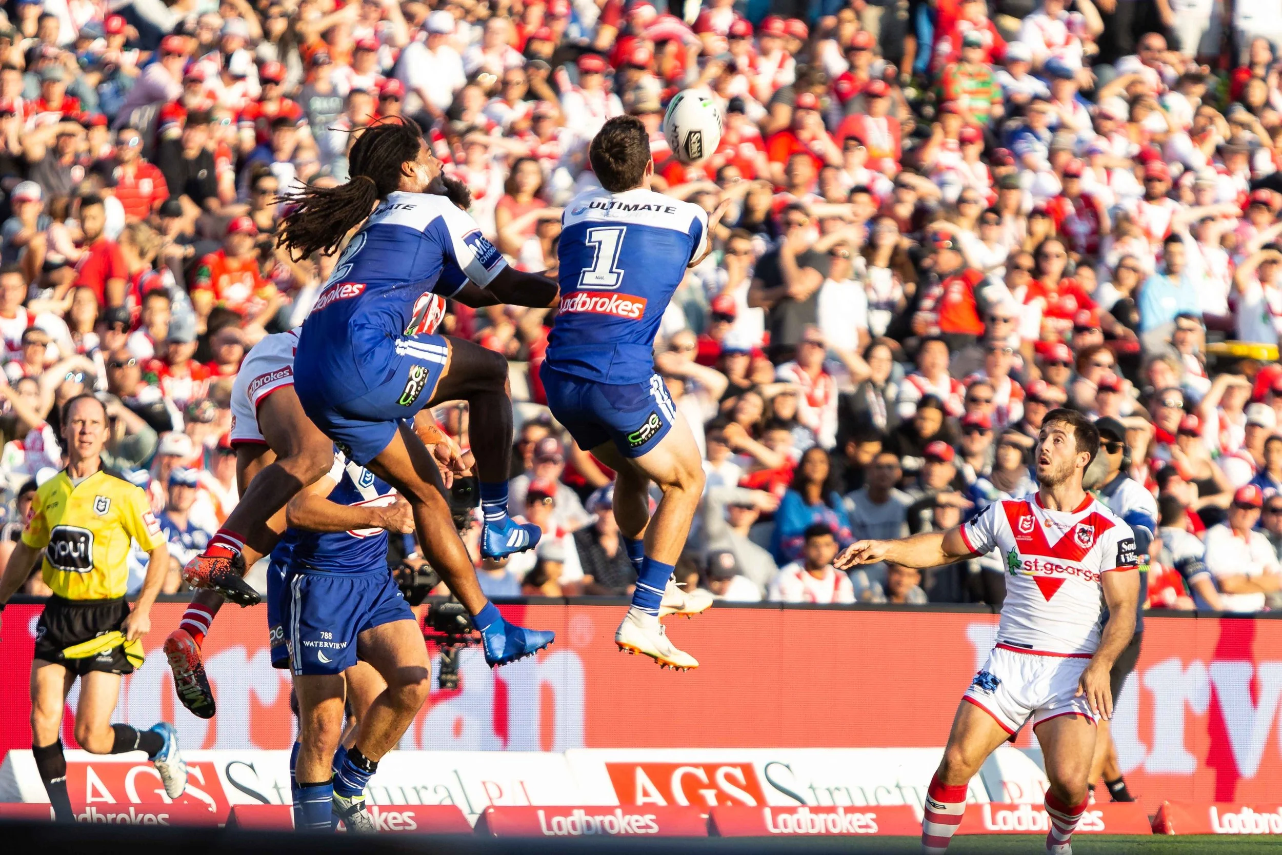 Well it’s not when pigs fly but dogs do fly