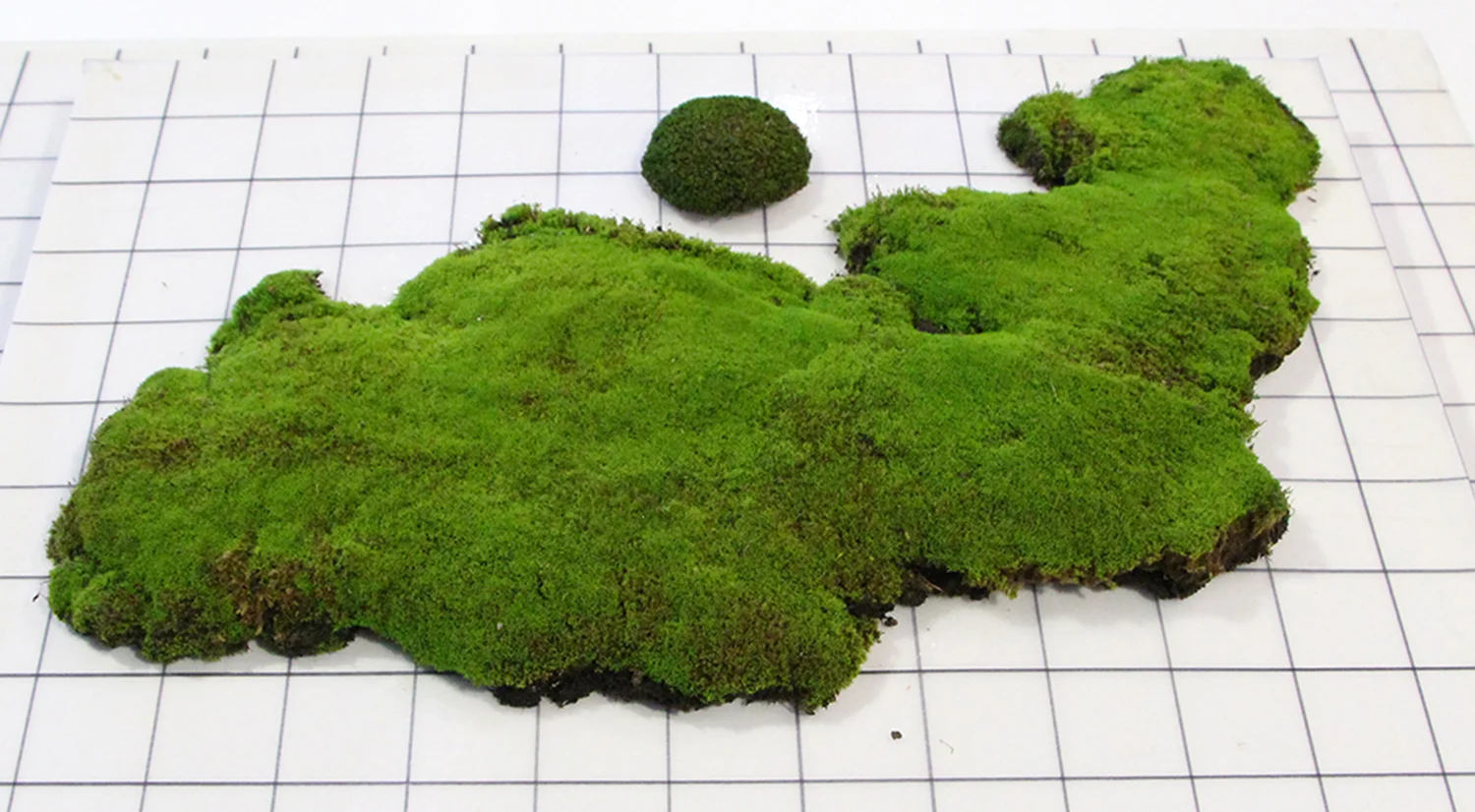 MOSS a.jpg