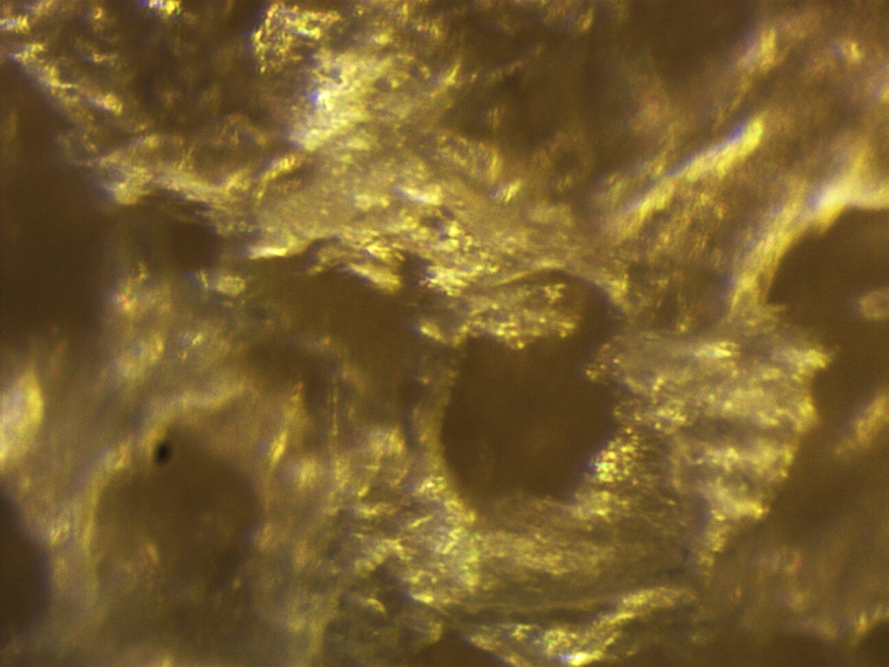 Toni Fröhlich 2018 Optical microscope image of a potato slice with shaving foam 550 um W (Thanks to the Swiss Nanoscience Institute)012_.jpg