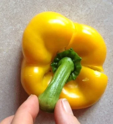 pepper 3.jpg
