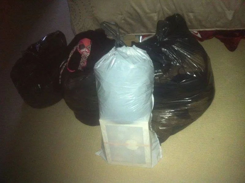 bin bag.jpg