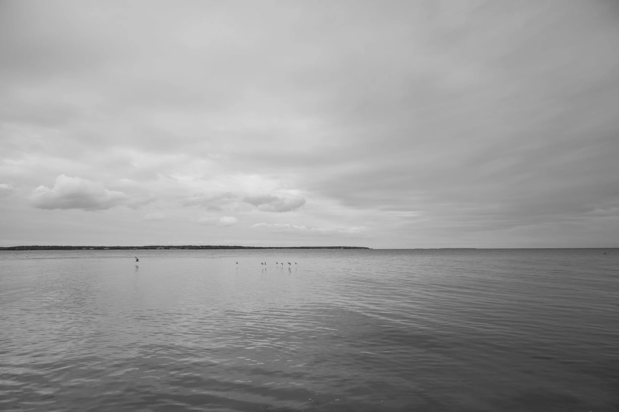 L4101583.jpg