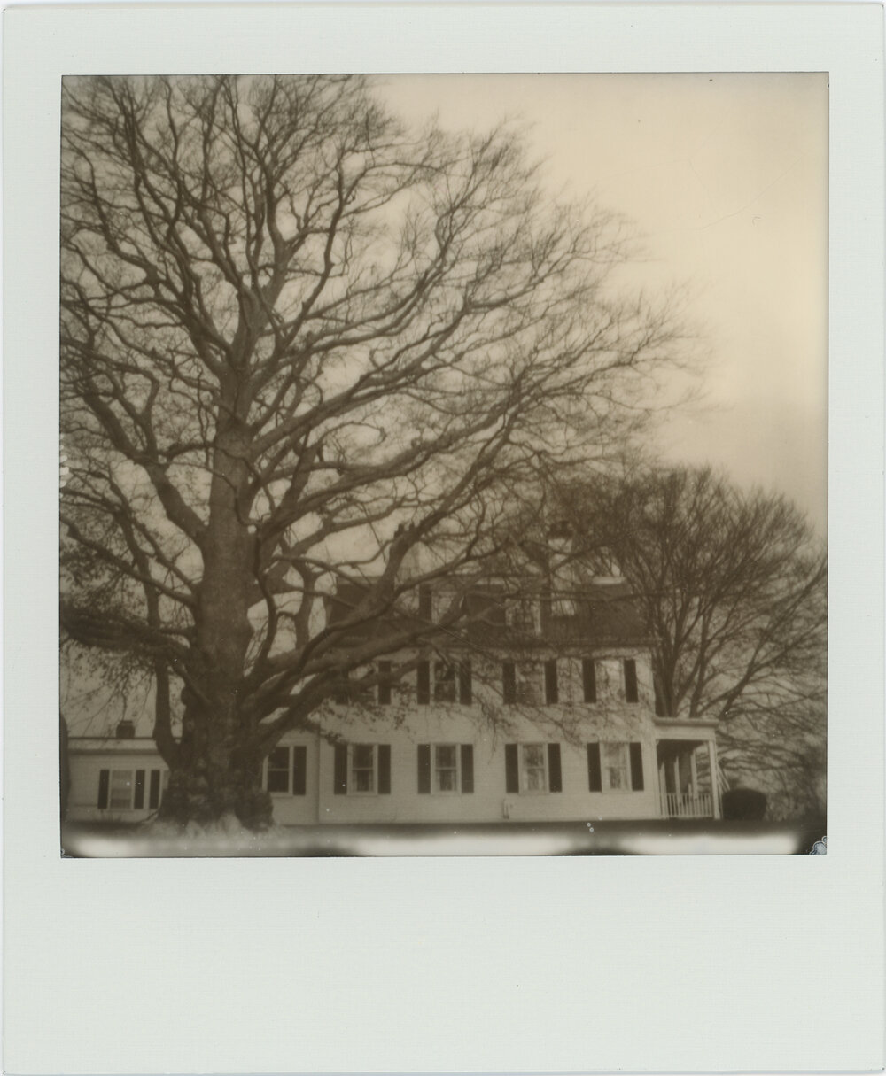 Route 6a Polaroid J James Joiner Route 6a Polaroid J James Joiner