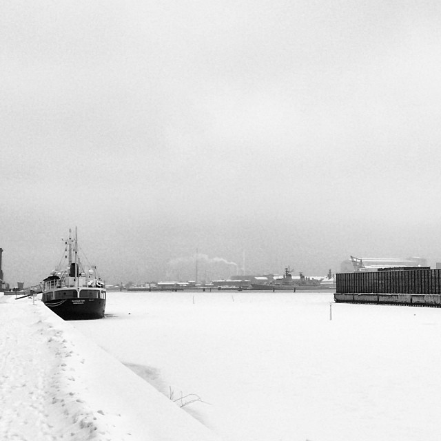 #copenhagen docks are #frozen #winterishere mighty cold today