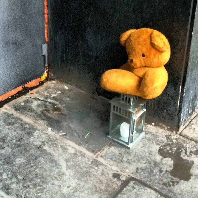 Nothing quite as forlorn as a homeless #teddybear #copenhagen