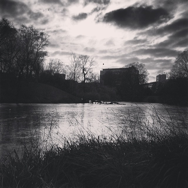 #icy wintery #reflection in #ørestedparken #copenhagen