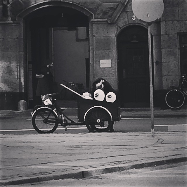 #iseefaces #thingswithfaces #pareidolia #bikes #copenhagen