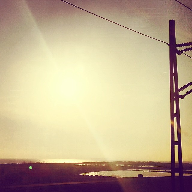 The view towards #copenhagen this evening #goldenlight #øresund #bridge #picsfromthetrain