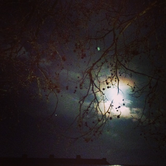 #moon #branches #rooftops - #torvaldsenmuseum #copenhagen