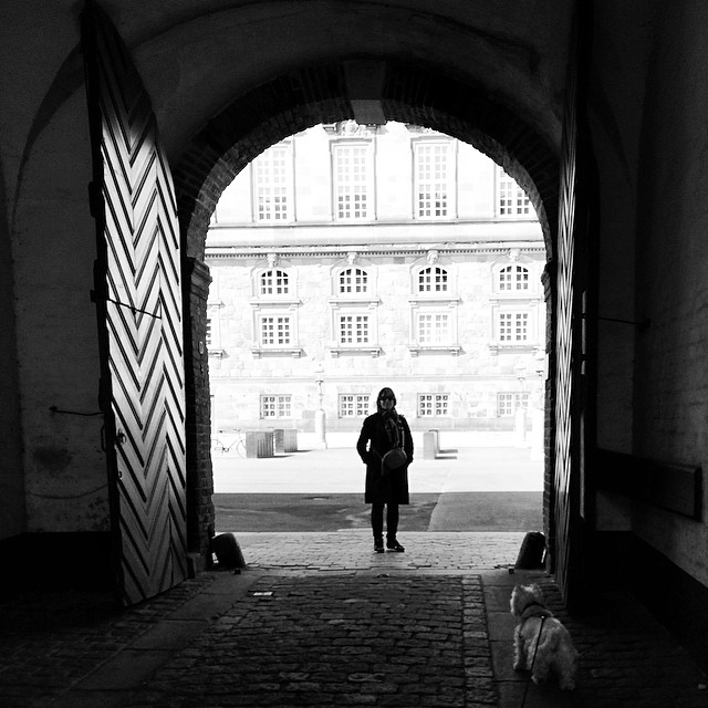 #silhouette in the #gateway #copenhagen with added #westie sneaking into the pic