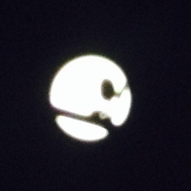 #iseefaces #pareidolia - man in the #moon , close crop caused by a twig and a leaf