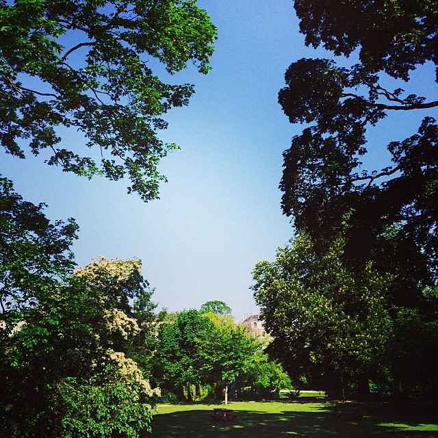 Late spring in #ørstedspark #copenhagen