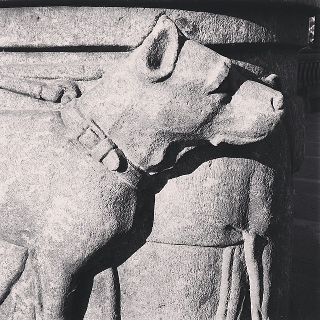 Guard #dogs of #rådhuset #copenhagen - #sculpture #stonemasonry #grotesque