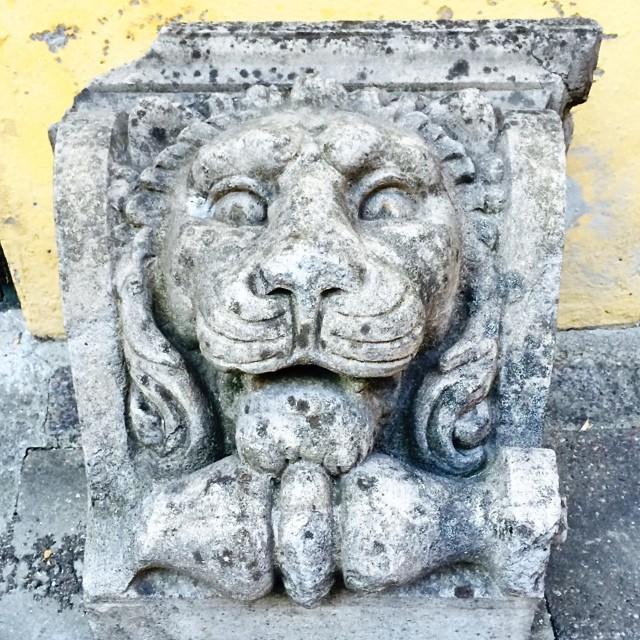 #lion #masonary #sculpture #copenhagen @blissful_lions