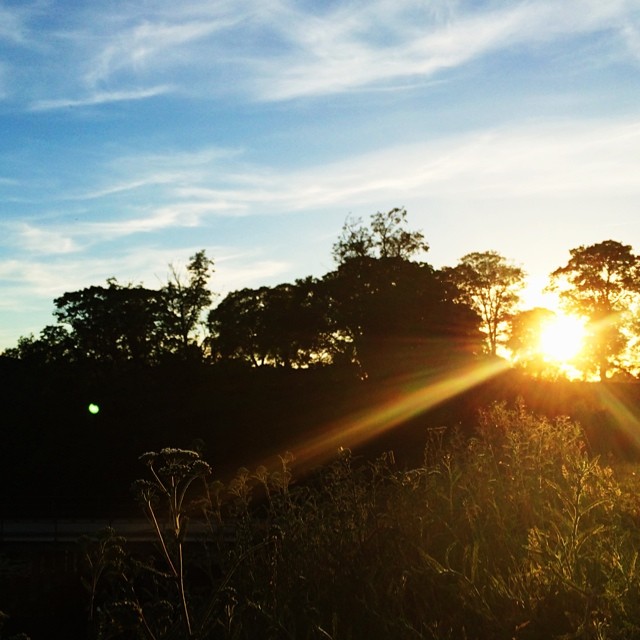 #sunset over #kastellet #copenhagen #vscocam