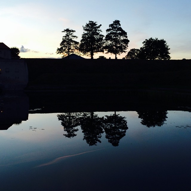 Last of the evening #light over #kastellet #copenhagen - #reflections #silhouette #trees #water #sunset