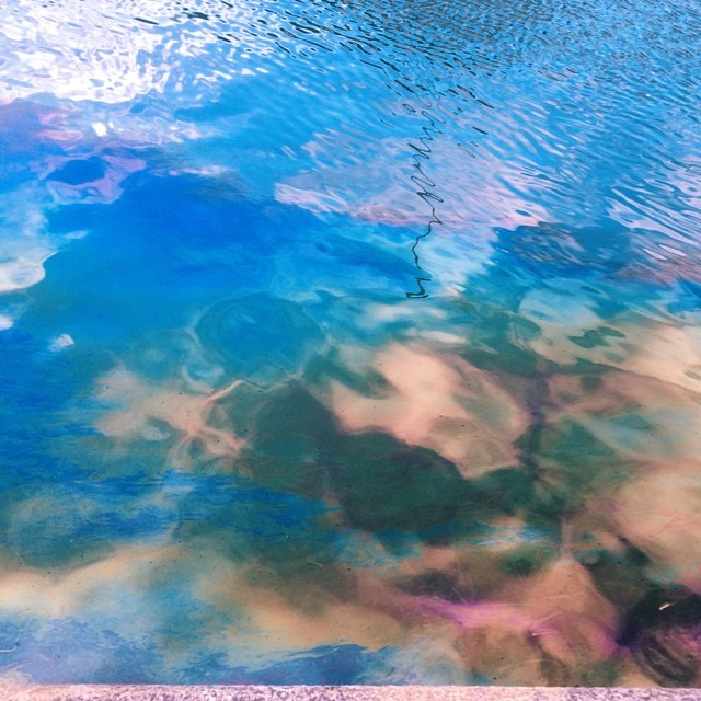 Unfortunate but #beautiful #oilslick #patterns on the #water - #reflections #colours #copenhagen #vscocam