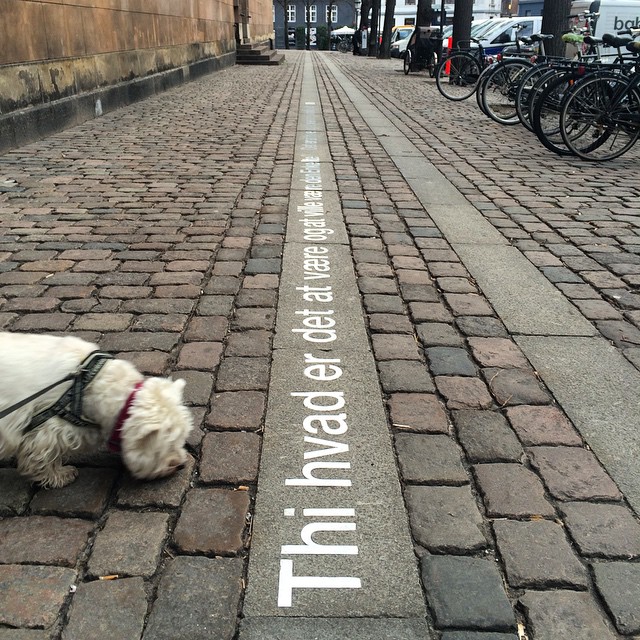 I love coming across these large metal #Kierkegaard #quotes on the street in #copenhagen - #helvetica at its finest - #typography #design #art #publicart