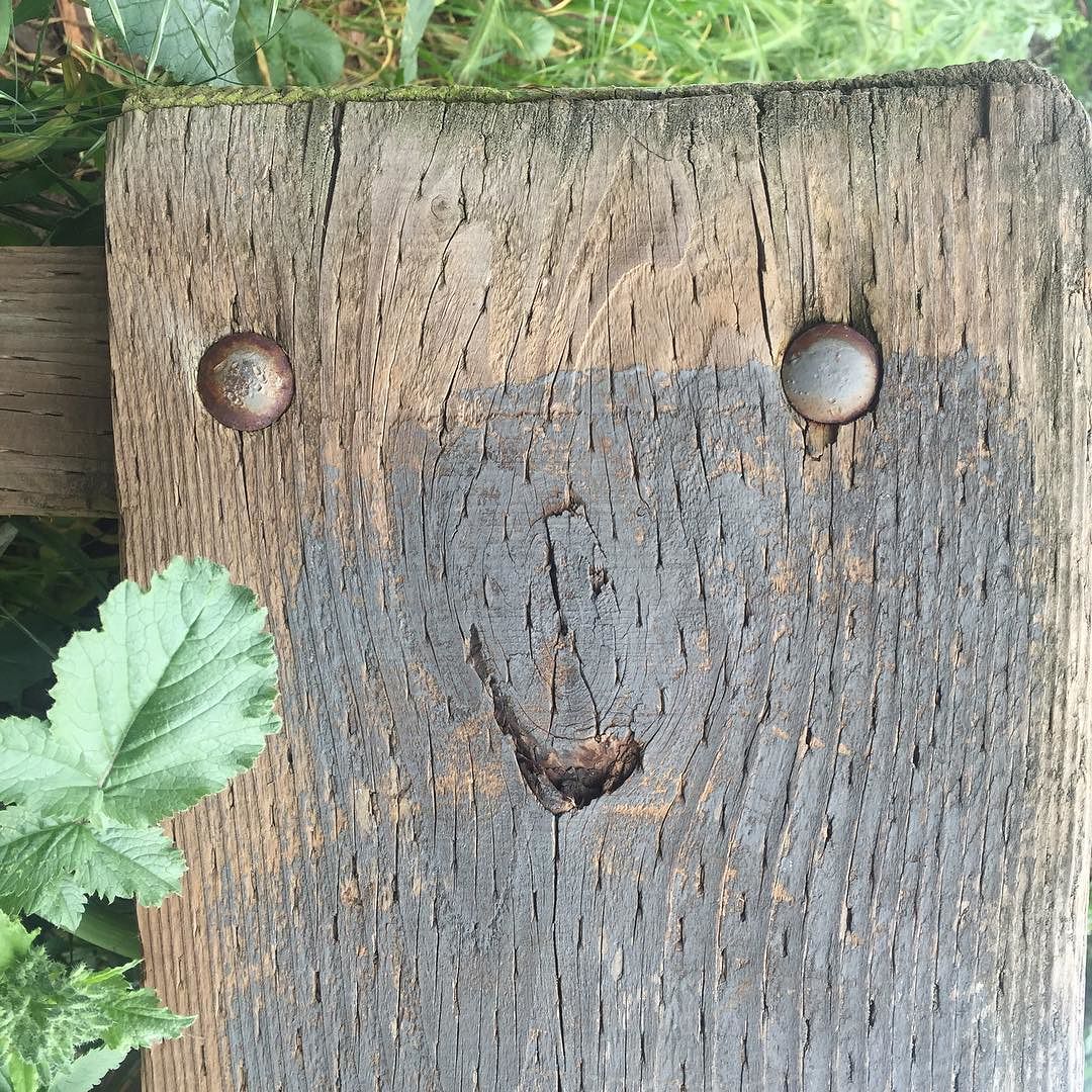 #iseefaces #pareidolia