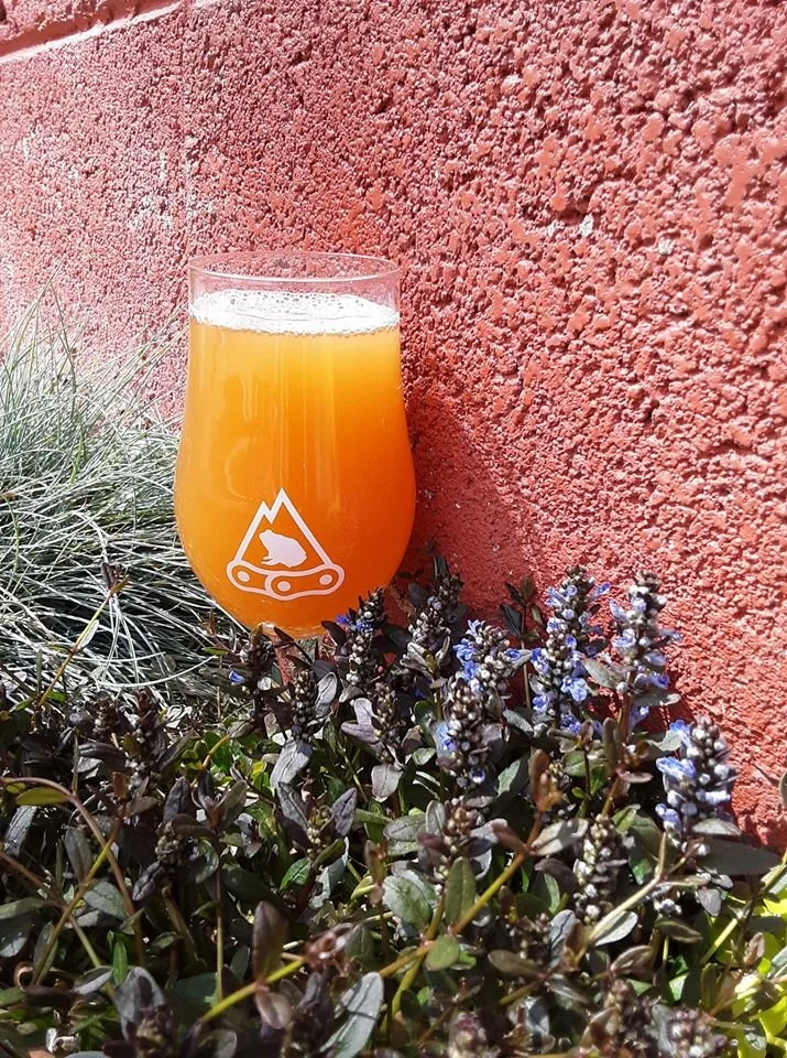 Lavender Belgian Golden Strong