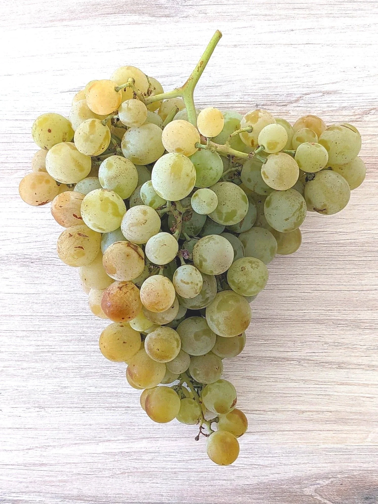 Vine Hopper Oeno Seltzer (wine Spritzer)