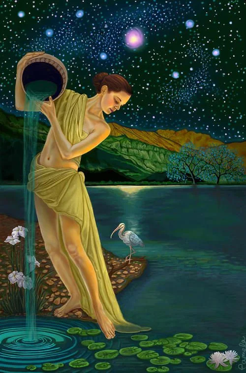 The Star by Pamela Wells 