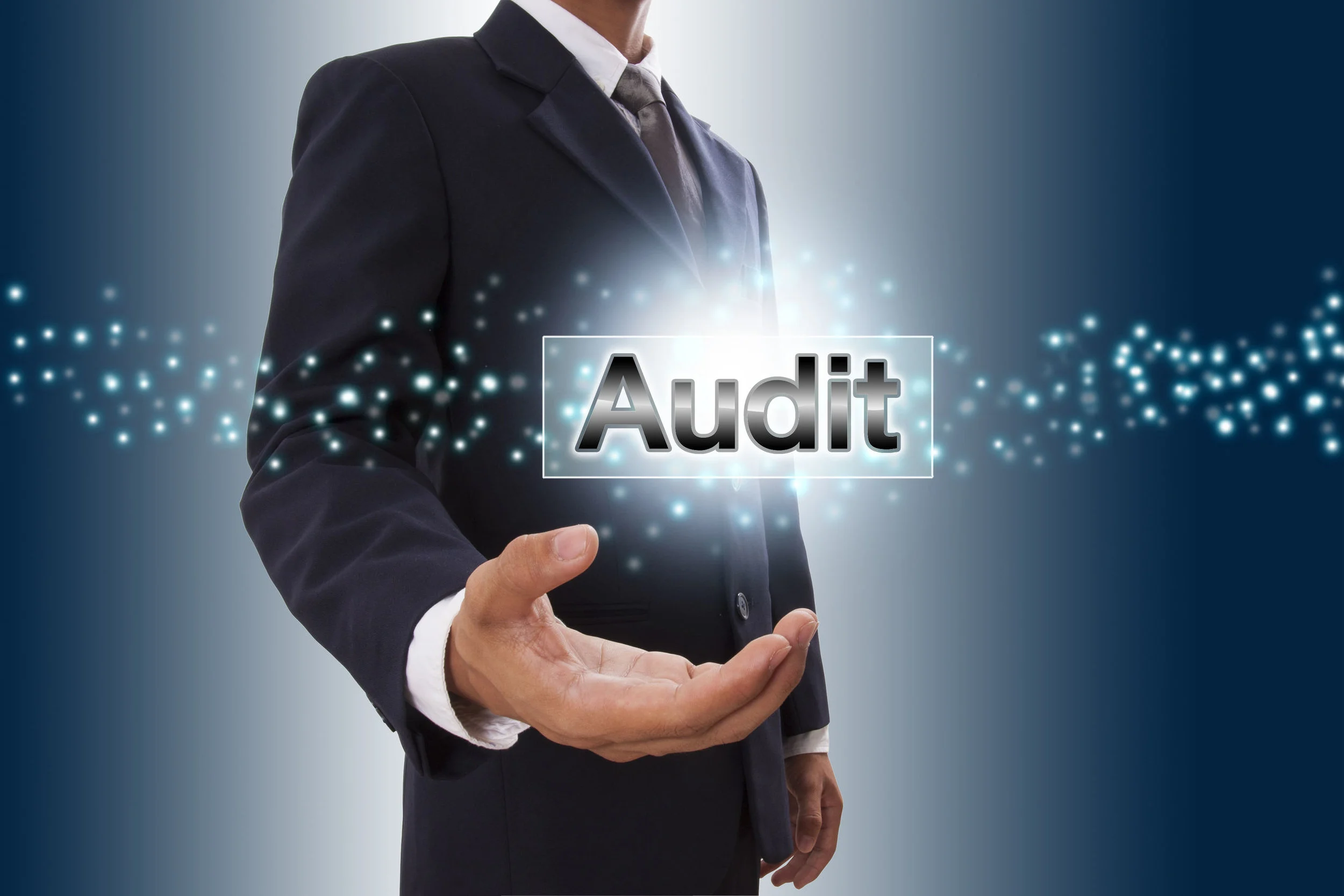 SAFETY AUDIT.jpg