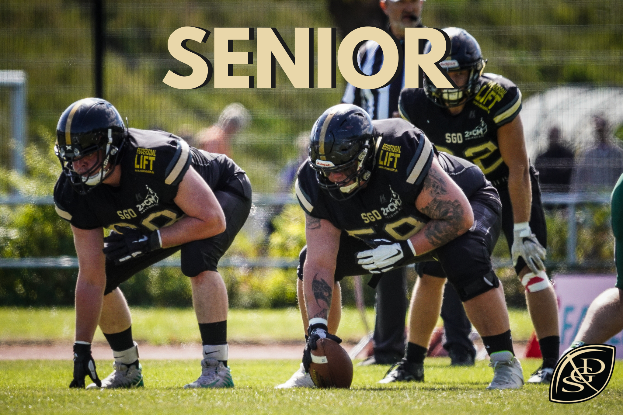 SENIOR (1).png