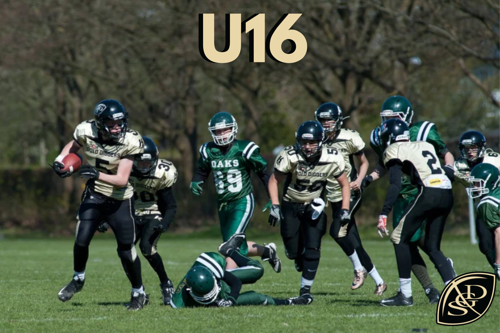 U19.png