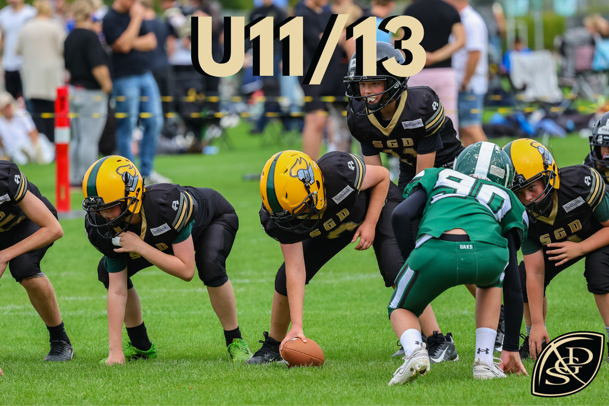 U19 (1).png