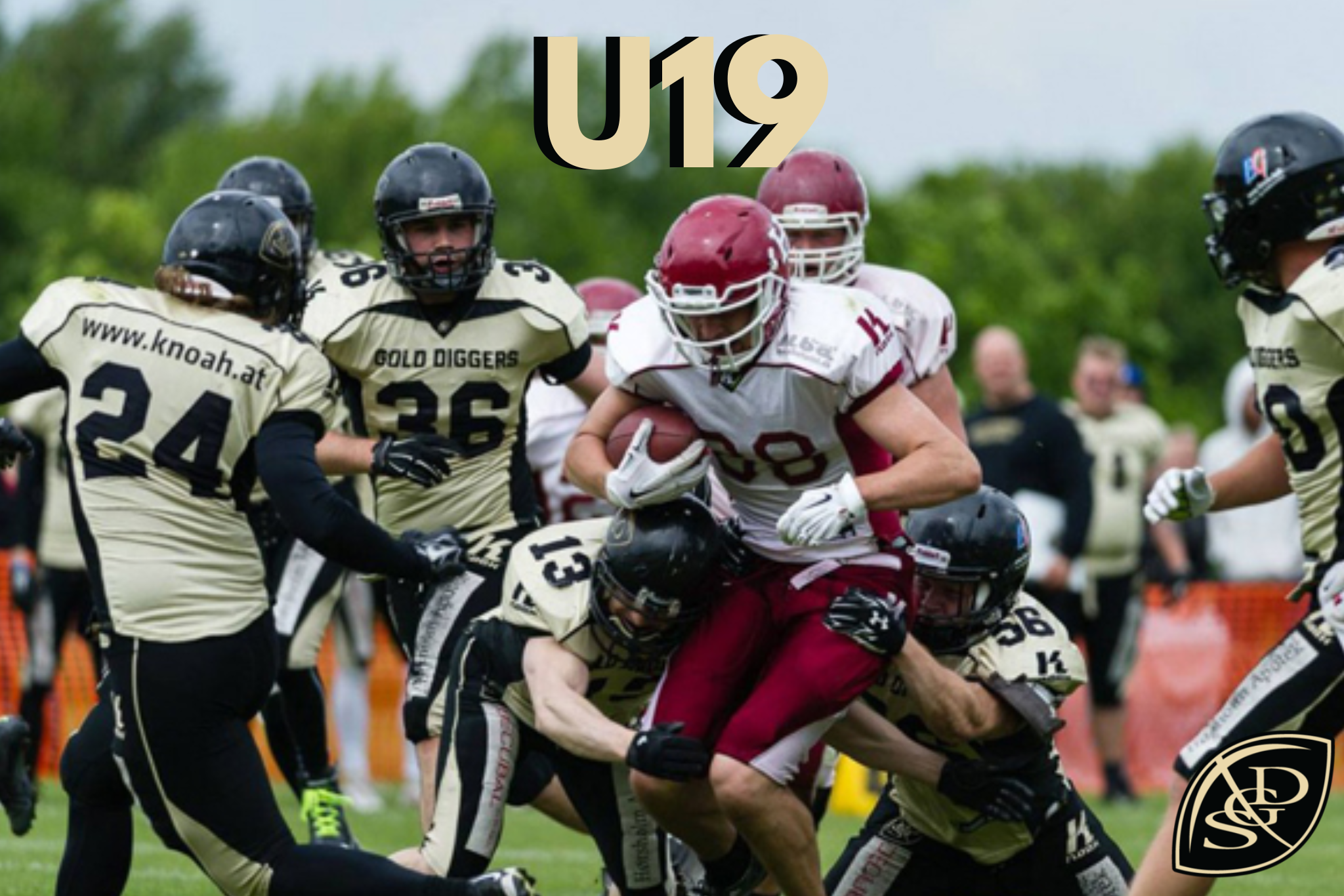 U19 (3).png
