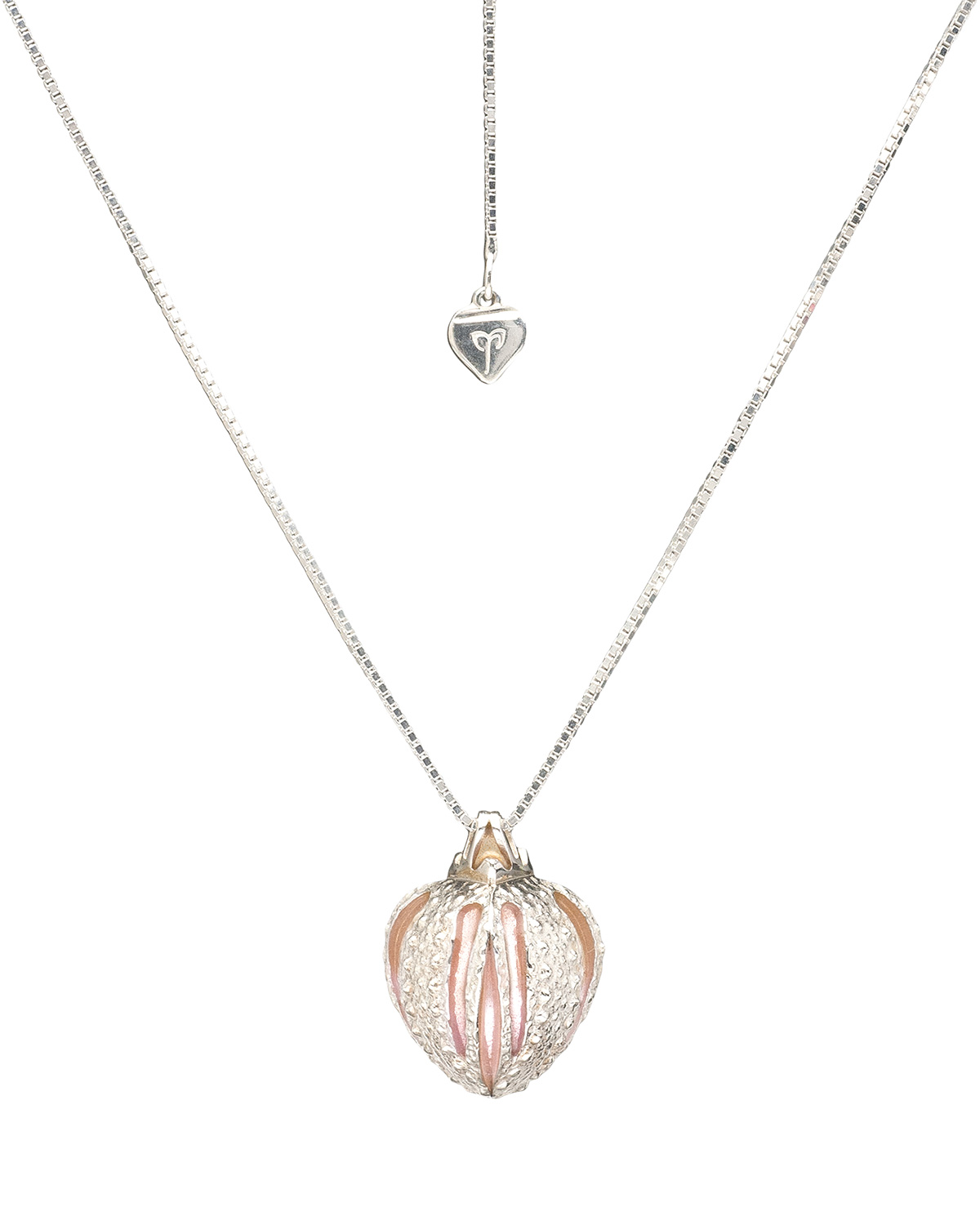 2015-10-Mary-Lynn-Podiluk-Argot-Pendant-D01a.jpg