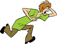 Shaggy.JPG