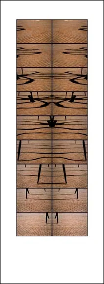 19-spider copy.jpg