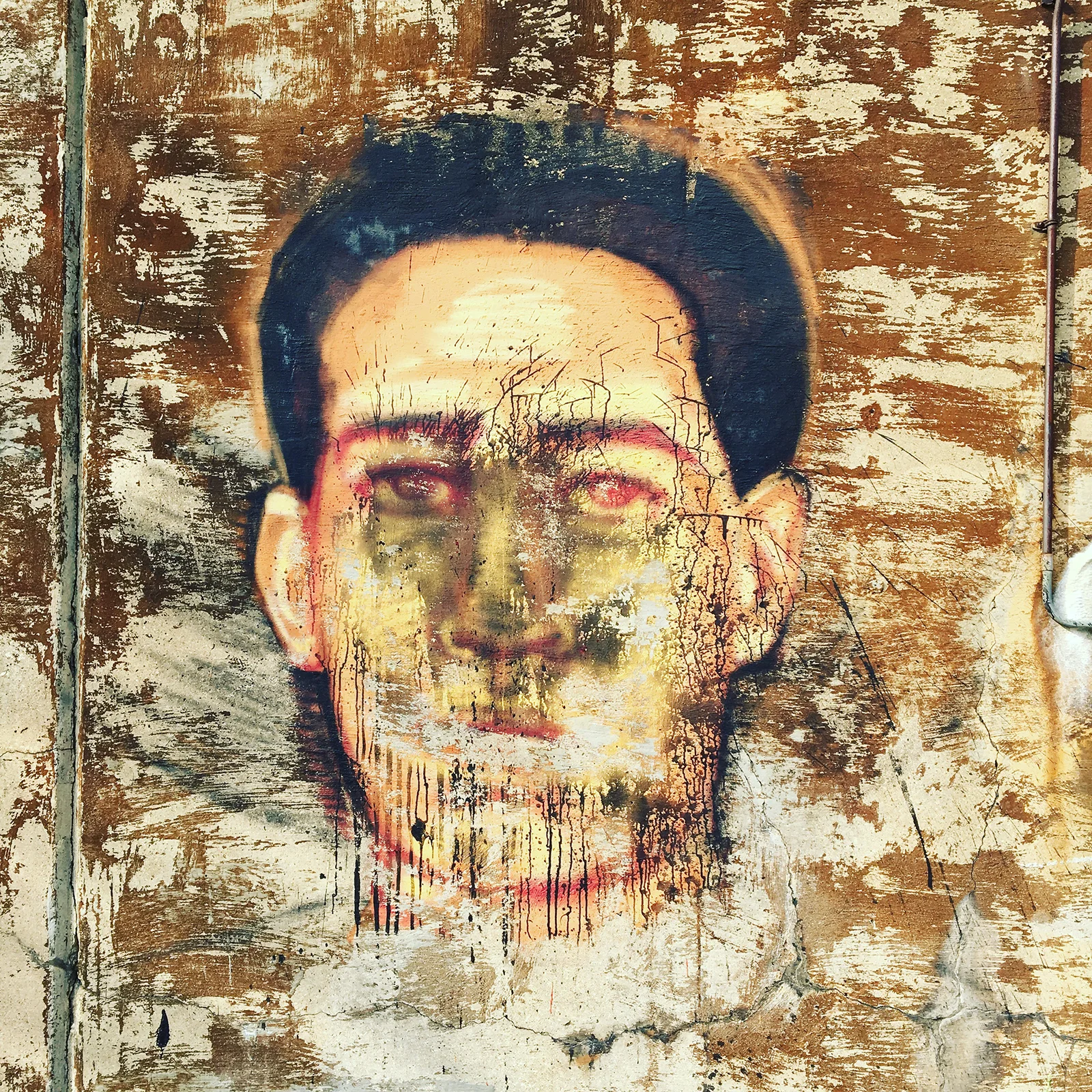WORN.jpg