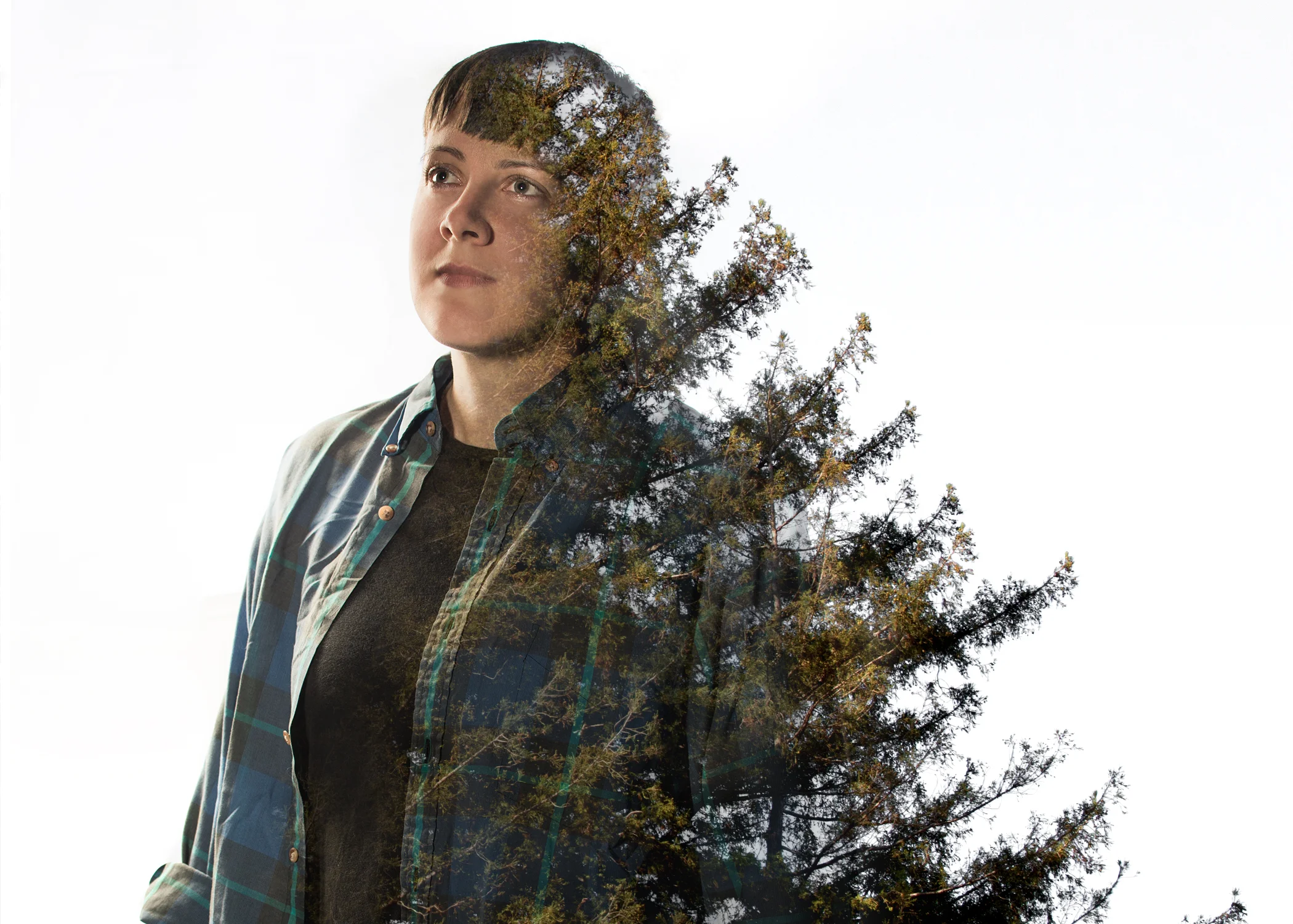 Publicity Image, Sagittarius Ponderosa, 2016. New Conservatory Theatre Center. Photography by Lois Tema. Art Direction by Ben Randle.