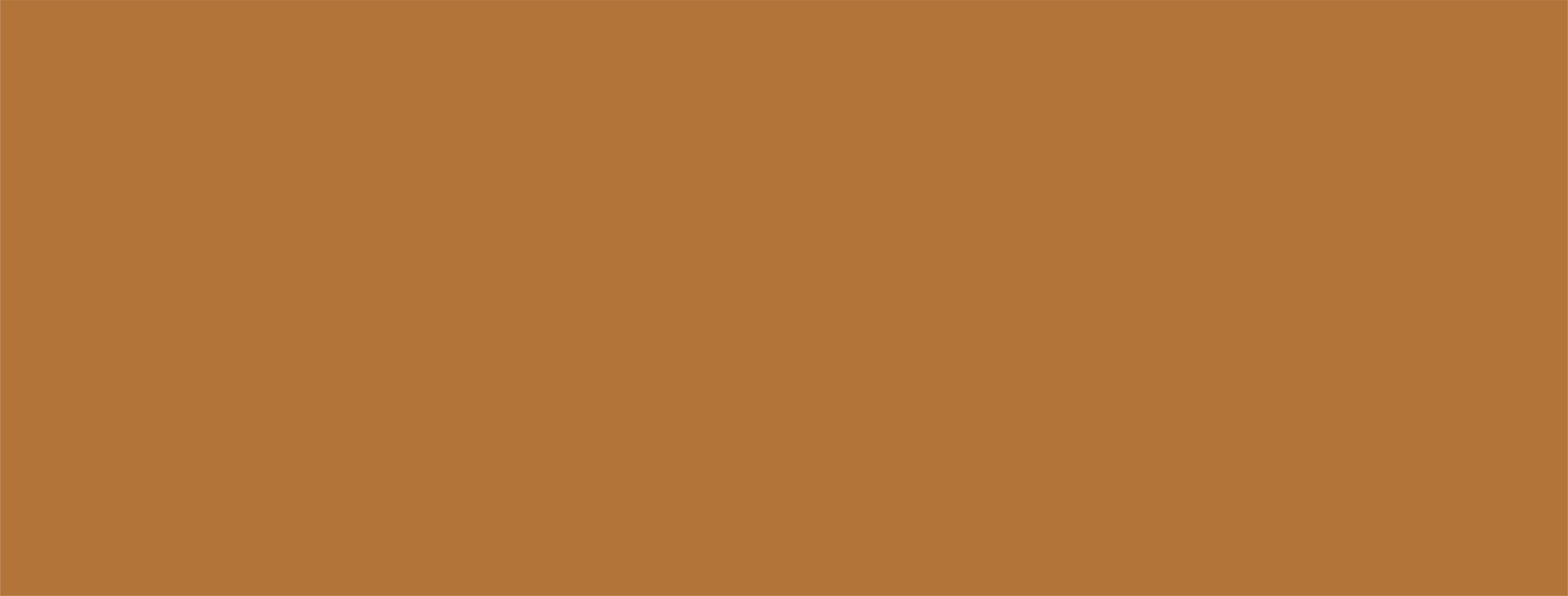 Orange-Background.png