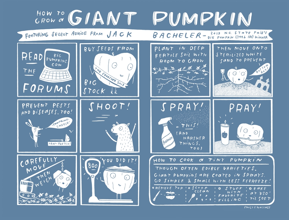 How to Grow a Giant Pumpkin