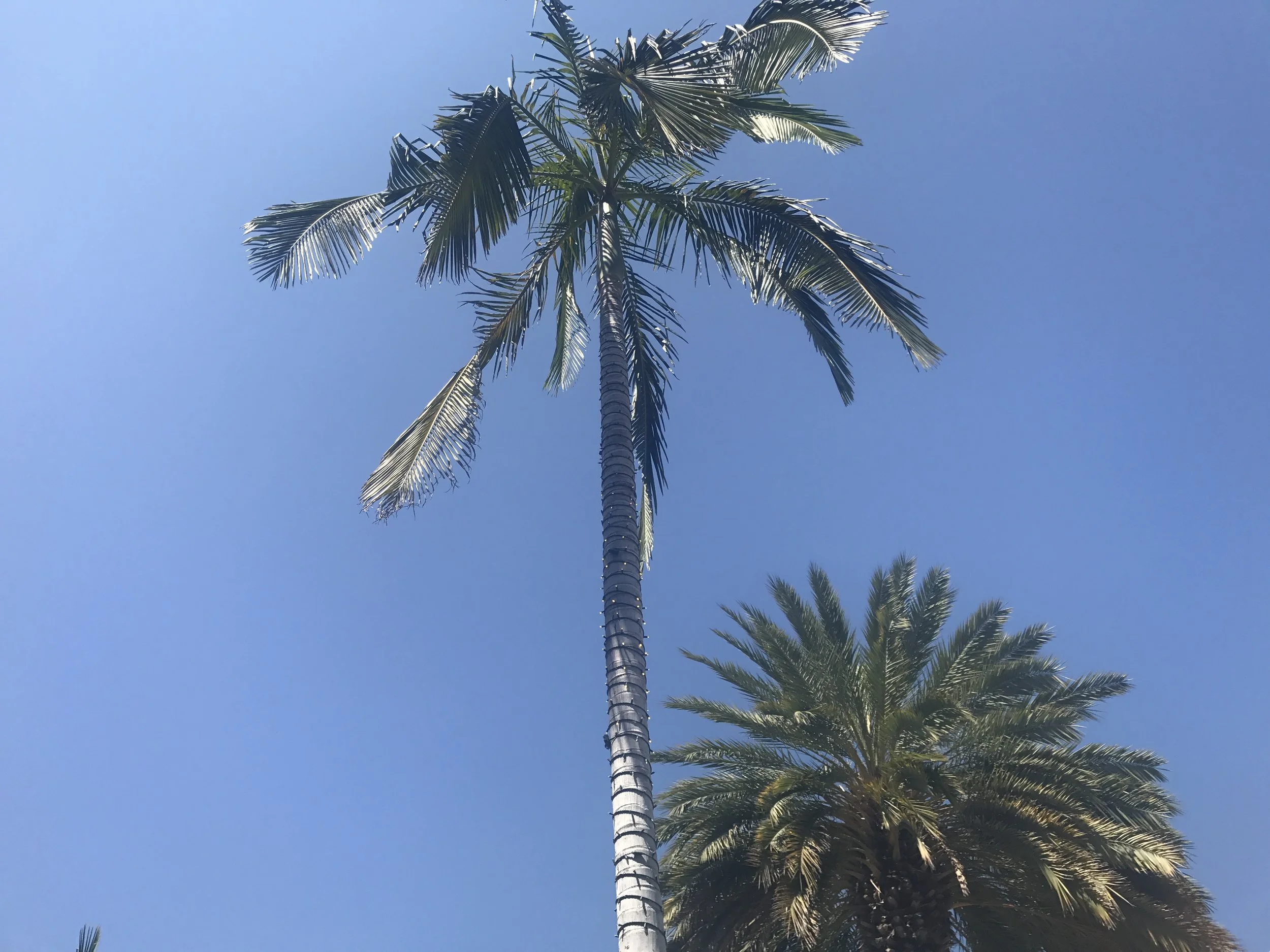 Road to Venice: Day 2