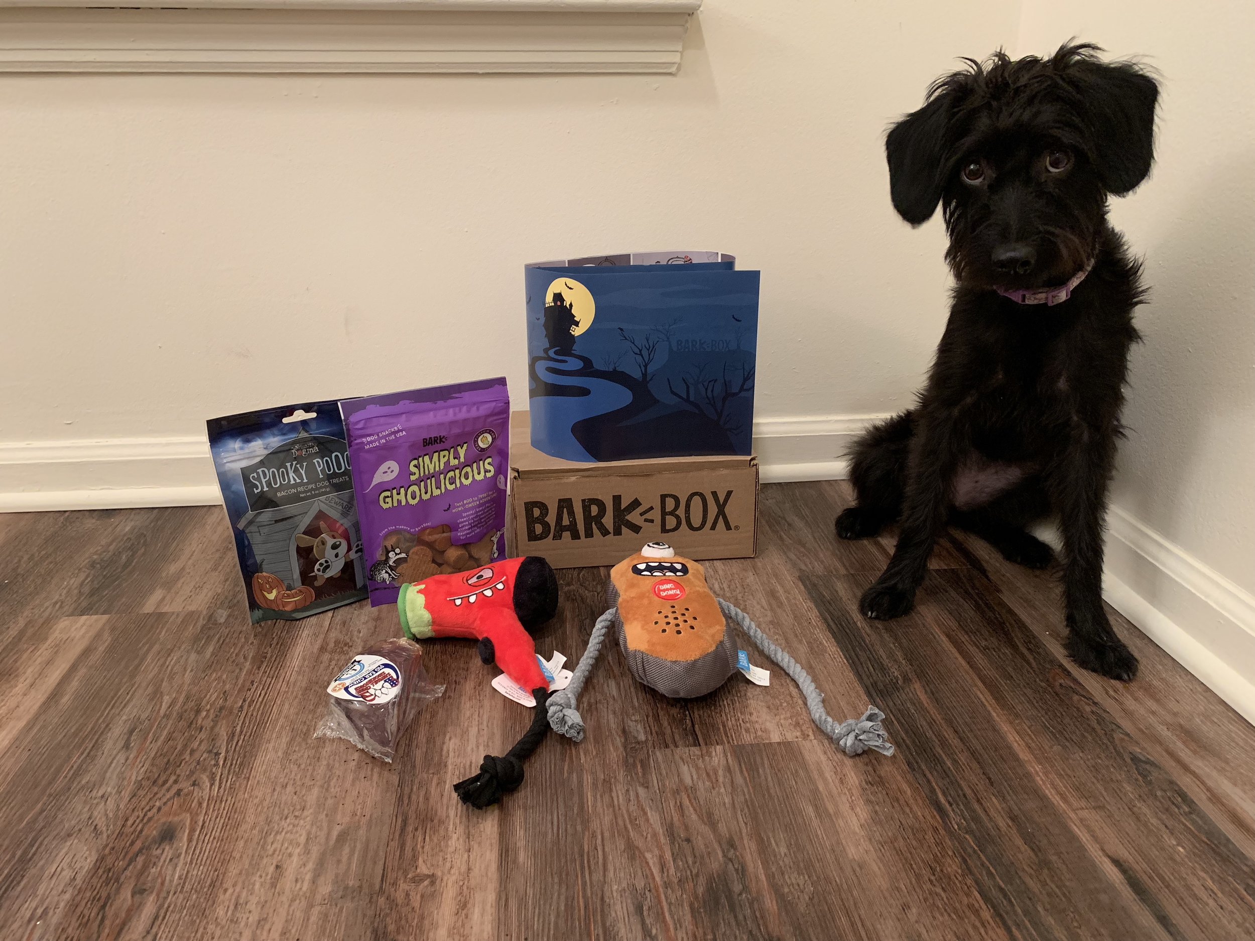 Sasha: "Mom, I want the toys!”