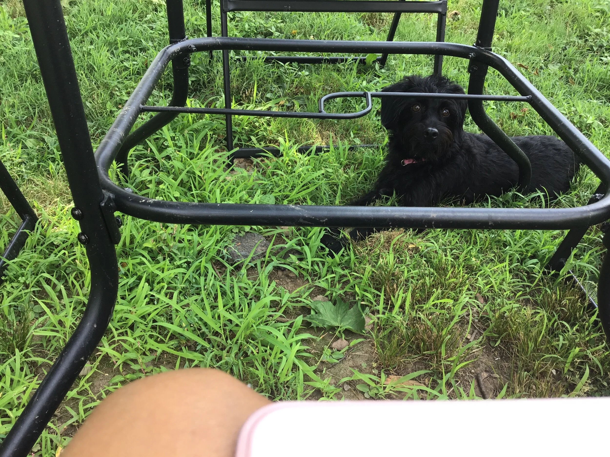 Still in quarantine?