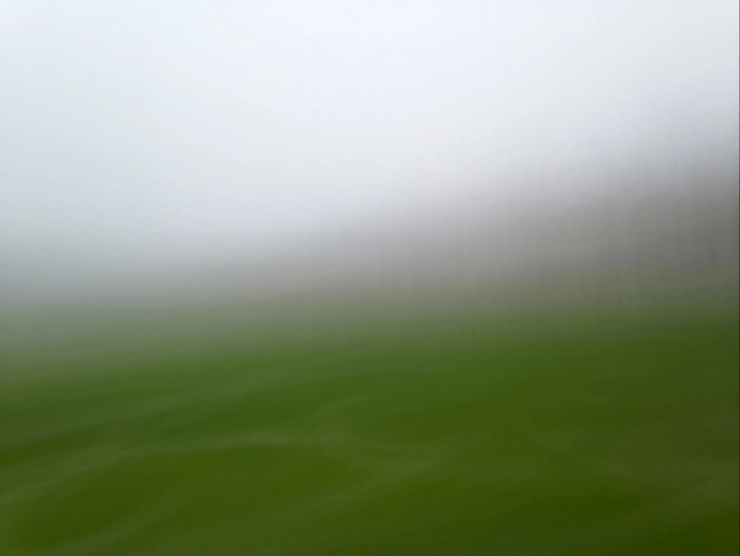 Blur:Field, Mist.JPG