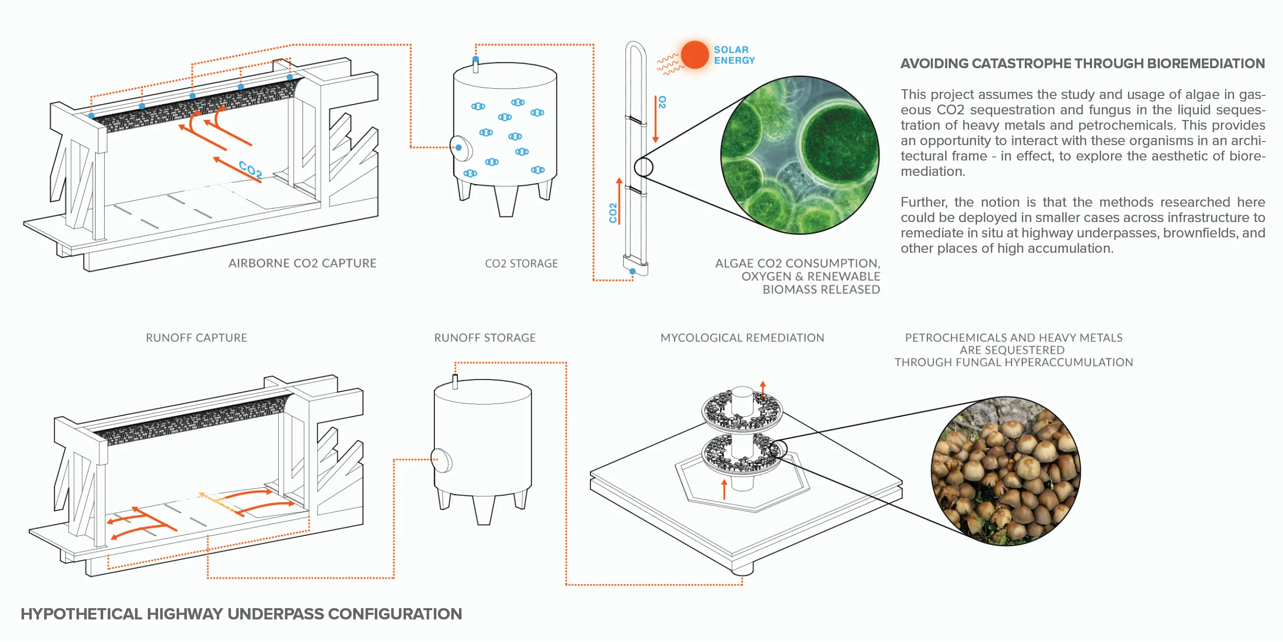Diagram_1.jpg