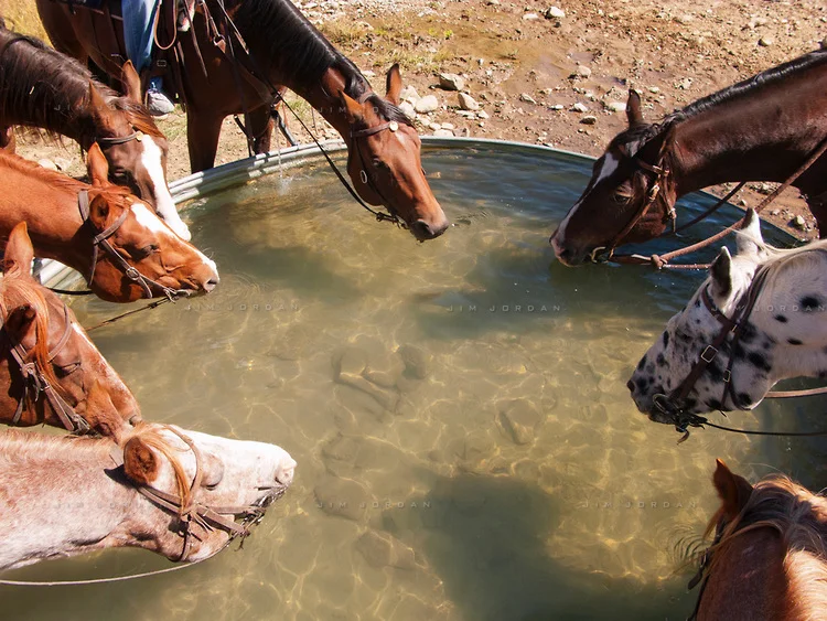 Today, Oct. 15, has all of the ingredients for a complete clusterfuck. I know. I know. I shouldn't project, but at least I won't be surprised.&nbsp;
Two major projects are due today. I did my part. That was 13 days ago. You know what they say: you …