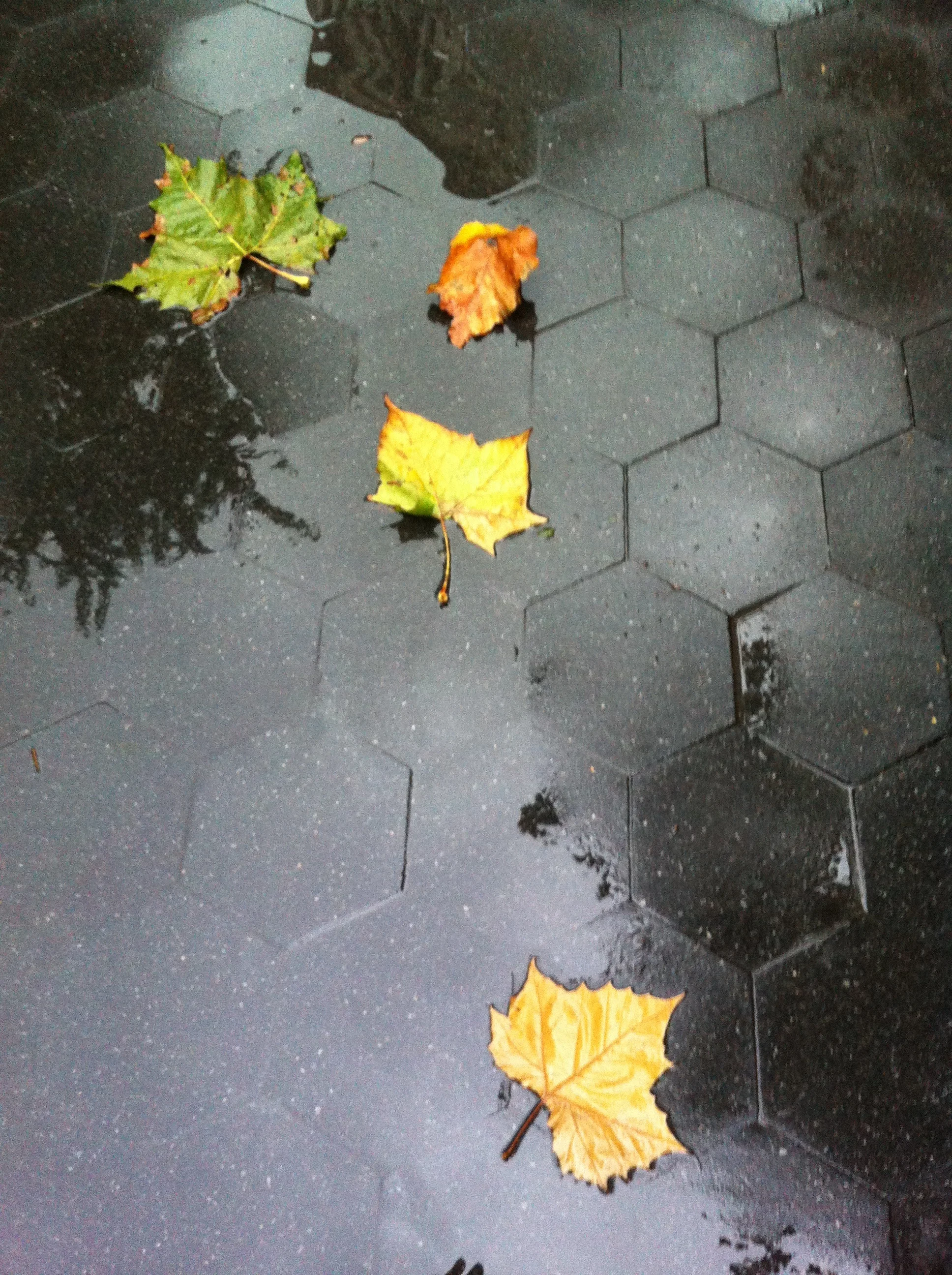 Inching along here on this gray, wet Friday. I was in the office early this morning and caught a glimpse of a dog in the apartment building across the street. He was intently watching television. He'd get excited. He'd bark, jump around, and then …