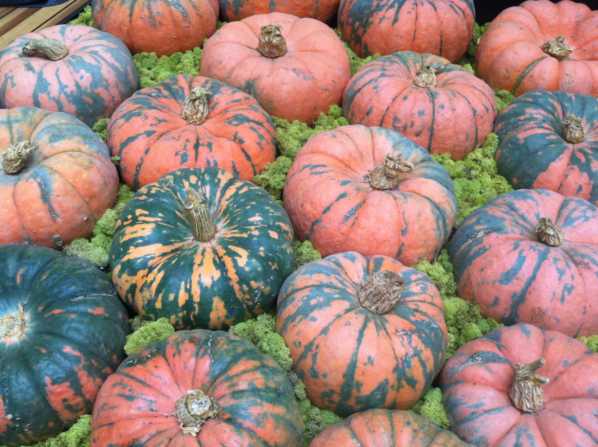 Yesterday's post must have been lost somewhere at DFW. Ugh. Technical difficulties.&nbsp;
At any rate, my thoughts are the same. I had a nice weekend in Texas. The family is well, happy &amp; busy. Those five little people were on their best beha…