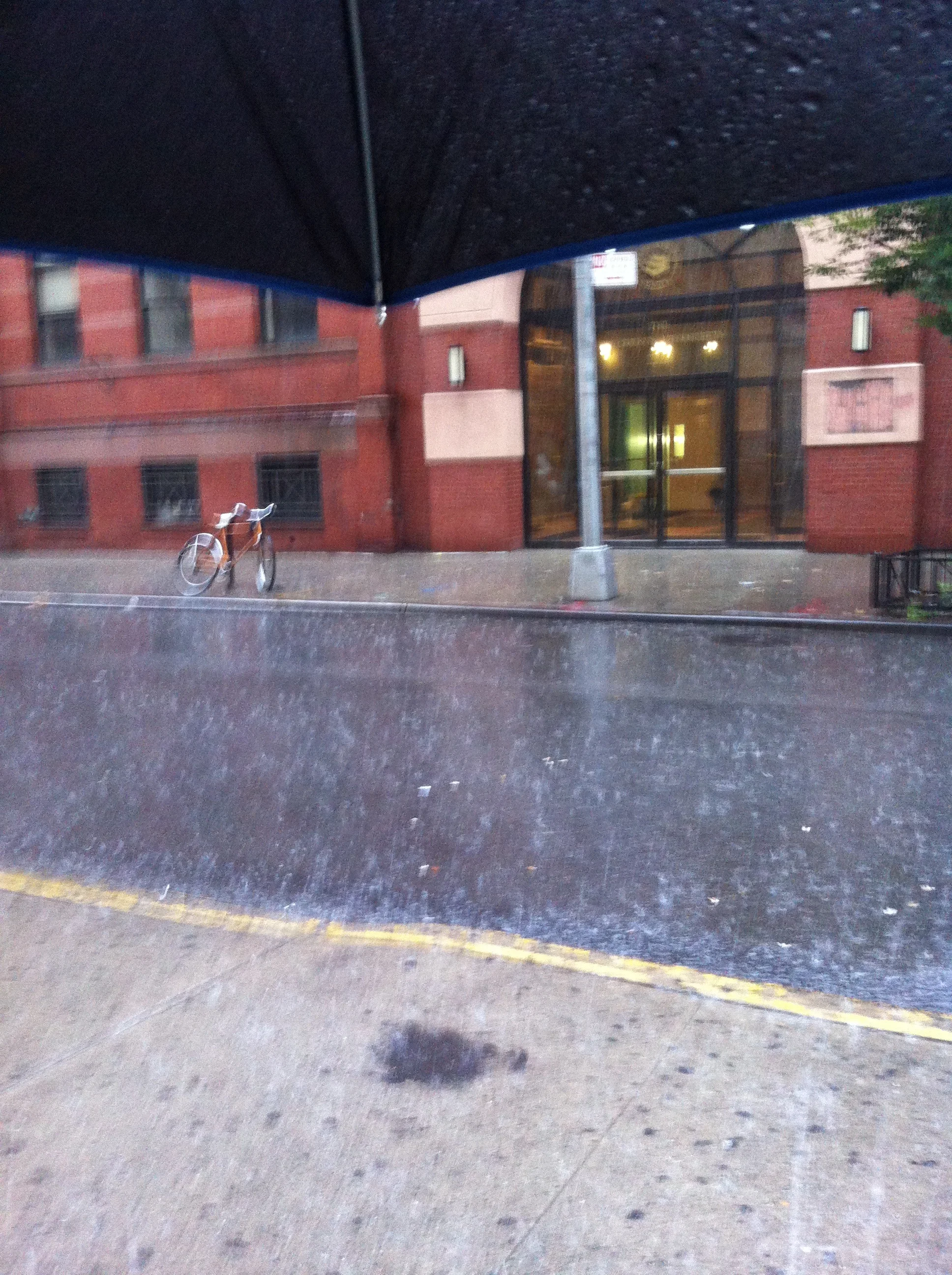 Weathermen are the worst. Five minutes before I left my apartment, I clearly heard Bill Evans on ABC say "The rains have moved North and West of the city." I opted for my small, compact umbrella and threw it in the bottom of my bag.
I stepped out…