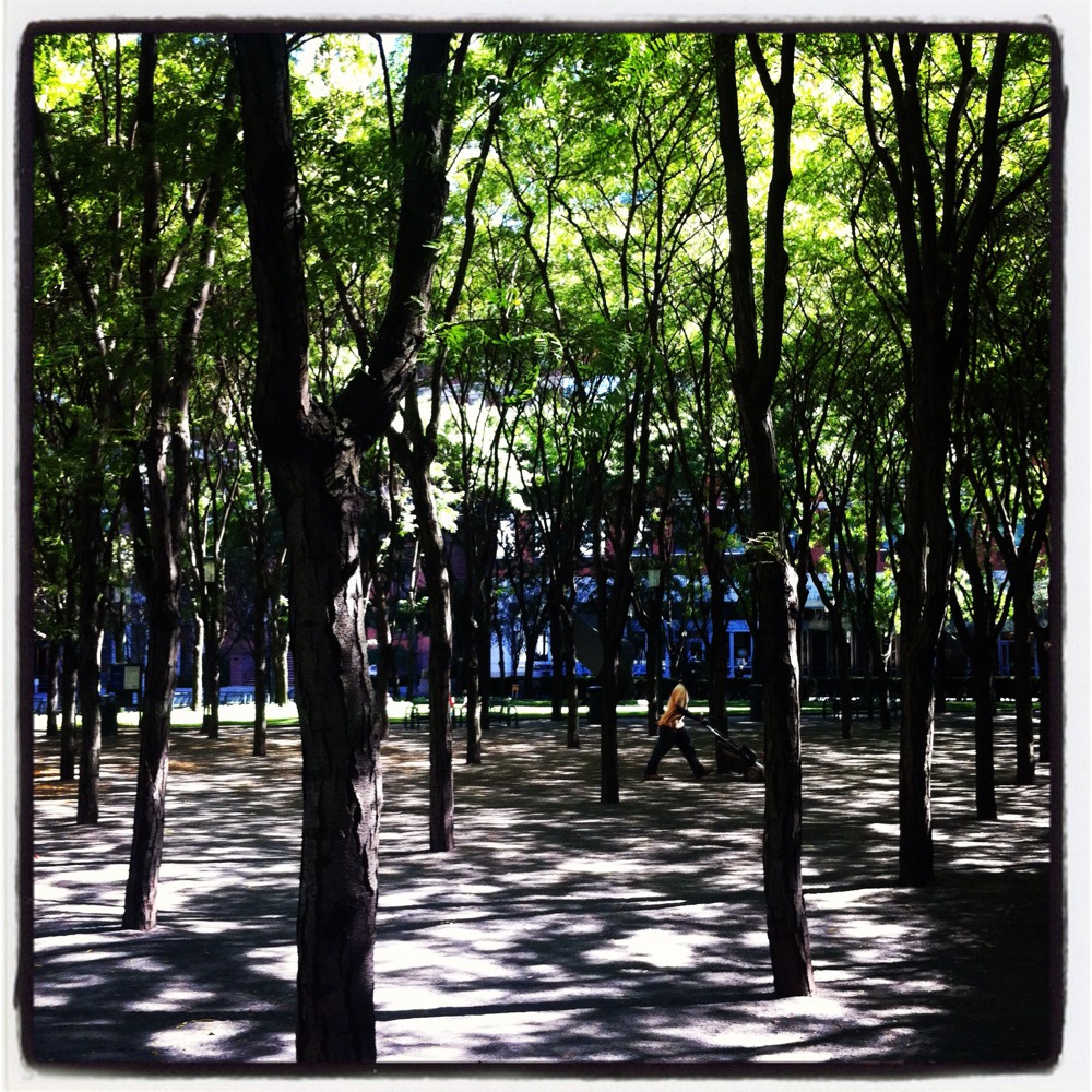 This happens every time I go to Brooklyn. Without fail.